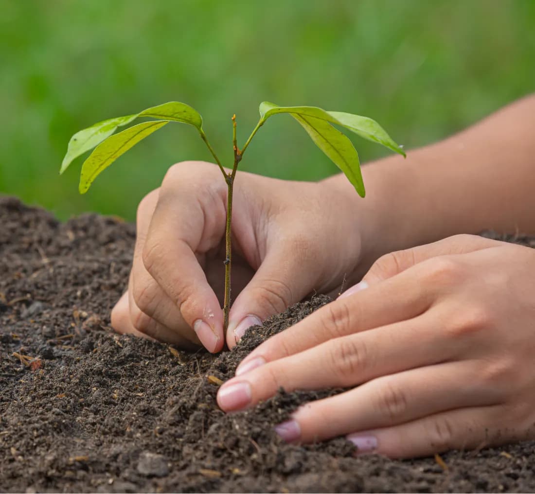 Environmental Stewardship