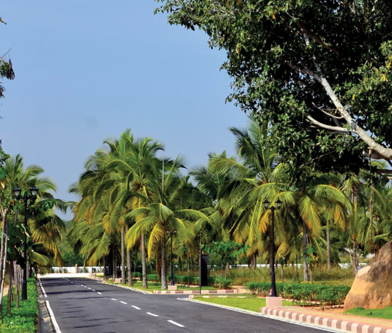 Chartered Gulmohar